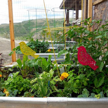 Summer Camp at a Park City Vacation Home