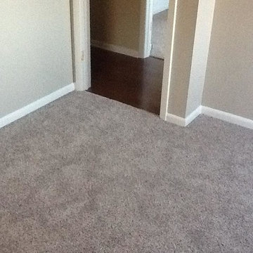 Dynamic Carpets