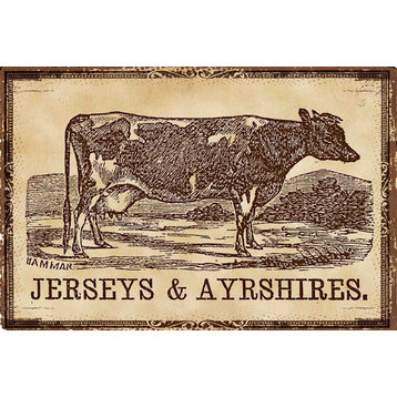 "Cows Jerseys" Painting Print on Canvas