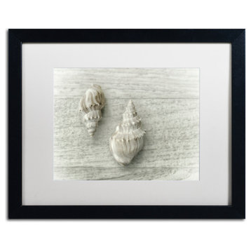 Cora Niele 'Two Cancellaria Shells' Matted Framed Art