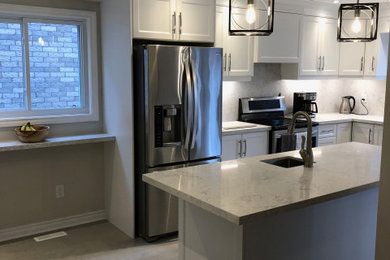 Inspiration for a modern home design remodel in Toronto