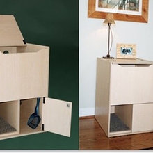 Cat litter box ideas