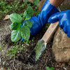 Sun Joe Hori-Hori Garden Landscaping Digging Tool With Stainless Steel Blade