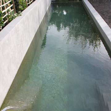 piscine naturelle