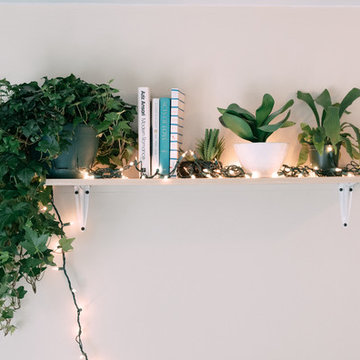 My Houzz: Modern, Eclectic Style in a Washington, D.C., Rental