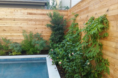This is an example of a tropical landscaping in Houston.