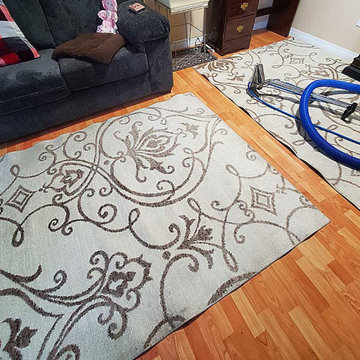 Carpet Cleaning Bedroom and Area Rug in a Condo Located in Surrey BC Canada