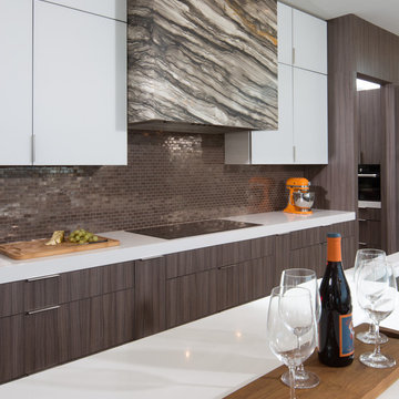 The New American Home 2016