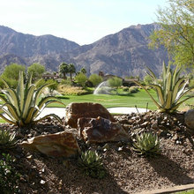 Backyard ideas