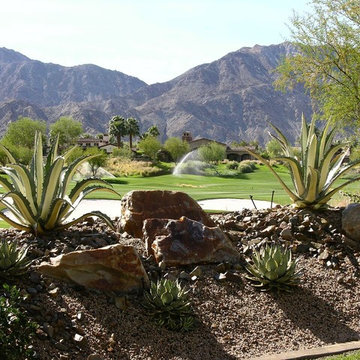Pool, Spa, Deck and Landscape Remodel