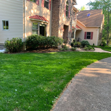 Lawn renovation before