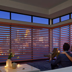 Contemporary Red Living Room Custom Window Window Shadings by Hunter Douglas - Window Treatments