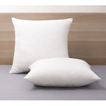 Modern Loft Soft Touch Euro Pillow, 2-Pack