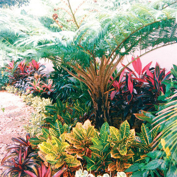 Colorful Side Yard Makeover in Boca Raton