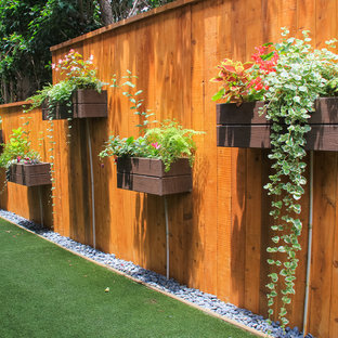 Kleiner, Halbschattiger Eklektischer Garten im Sommer, hinter dem Haus mit Pflanzwand in Orange County