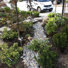 garden ideas