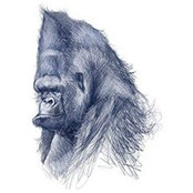 Adam Aslani's photo