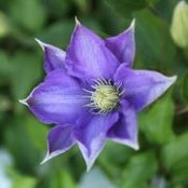 Amanda Hughes Arnold's photo