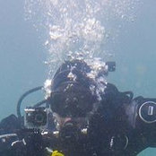 Thomas Einsporns billede