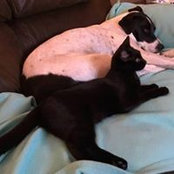 Denise Gallagher's photo