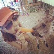 Sarochin Ying's photo