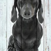 Larisa Shabalina's photo