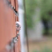 S Cala's photo