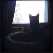 Nicole Holder's photo