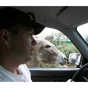 Foto von David Kooser