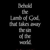 Michelle Smith's photo