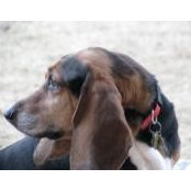 Therese Warner's photo