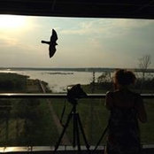 Foto von Vita Dalmantaitė