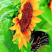 Jana Gill's photo