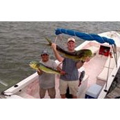 Dan Anderson's photo