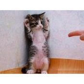 Benz Samera's photo