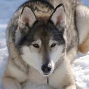 Foto von Mavis Newman