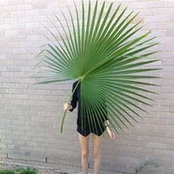 Foto de Indre Li
