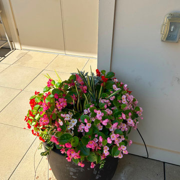 Commercial Outdoor Site Preparation.