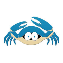 Pool Accessories