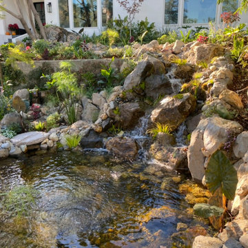 Encino Pond, Pondless Waterfall & Landscape Project