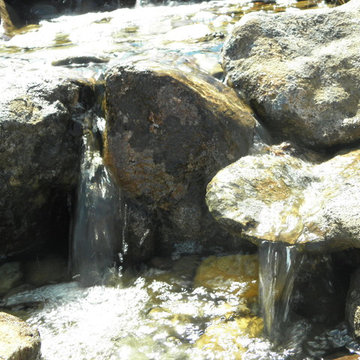 Native Oasis