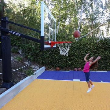 Rick S's Pro Dunk Platinum Basketball System on a 24x26 in Maria Del Rey, CA