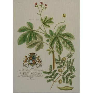 Wall Art Print 18th C Vintage Flora Inspired by a Hand-Colored