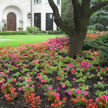 Beds and Borders