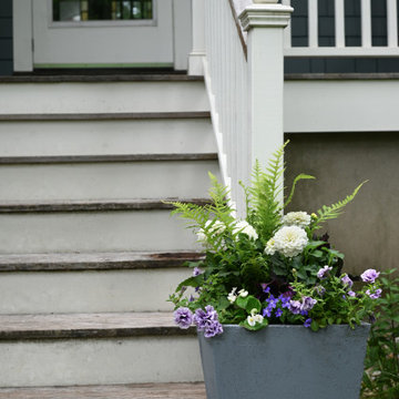Summer Containers