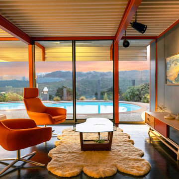 Eichler X-100 For Sale