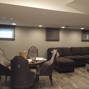 Basement Remodel