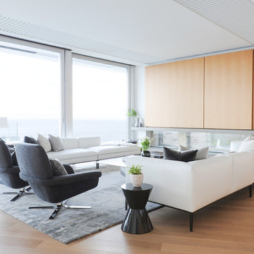 Contemporary Living Room