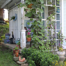 shed