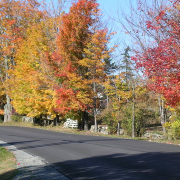 Fall Colors